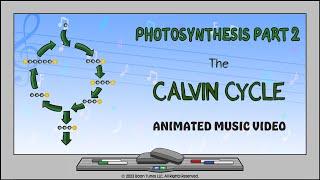 Photosynthesis Part 2: The Calvin Cycle  | Animated Music Video |