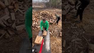 Best log splitter for the money  #woodwork #danger #bois #firewood #kayu #holz