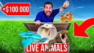 $100,000 Reptile UNBOXING! (Indonesia Import)