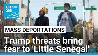 Trump’s mass deportation threat spreads fear in New York’s Little Senegal • FRANCE 24 English