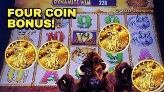 What Will This Four Coin Buffalo Bonus Pay?