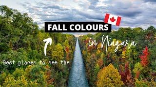 Best Places to See the FALL COLOURS near Niagara Falls in Canada | Autumn Season