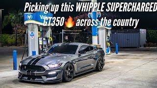 FLYING 2000 MILES TO PICK UP THIS WHIPPLE SUPERCHARGED GT350…