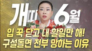 6월 개띠운세 입 때문에 망한다?! 구설수 조심해!️ 지금은 침묵이 답