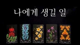 [타로] 나에게 생길 일
