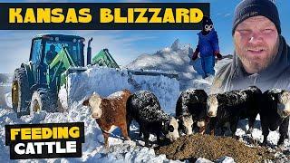 Feeding Cattle In A Kansas BLIZZARD