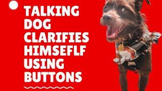 Rescue terrier clarifies himself using talking buttons  #fluentpet #talkingdog #hunger4words