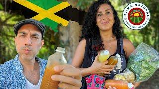 Finding RARE Ingredients at Kingston Jamaica's ONLY Organic Market!