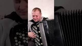 Как пальчики Быстро БЕГАЮТ #баян #топбаянист #баянист #accordion #набаяне #музыканабаяне #shorts