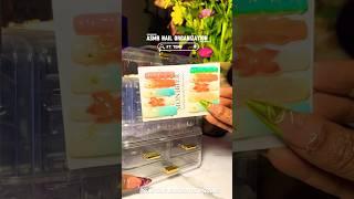 ASMR NAIL ORGANIZATION ft TEMU! #organization #asmr #shorts