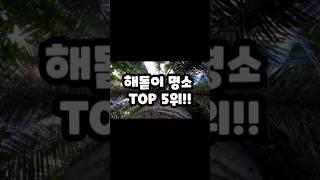 해돋이 명소 TOP 5위는? 해돋이가 예쁜 관광지! #해돋이 #새해 #관광지 #새해 #해가가장먼저 #간절곶 #호미곶 #성산일출봉 #해