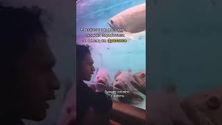 А тут раскрываю секреты, как это сделать ️fursovaler
