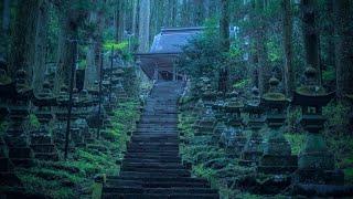 【まるで異世界】秘境に佇む神秘的すぎる日本の神社4選 / 秘境の幻想的な世界とパワースポット / 神隠しに遭いそうな神社仏閣・異世界探索 Japanese temples and shrines