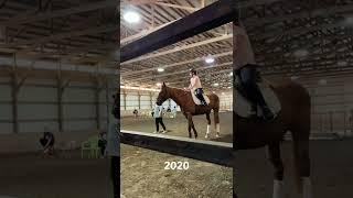  #equestrian