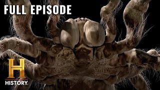 MonsterQuest: Massive Predatory Spider Lives in South America (S2, E17) | Full Episode