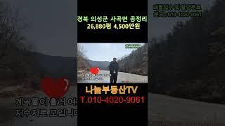 국유림과 계곡을 접한 매우 저렴한 임야입니다 #의성부동산 #싼땅 #시골땅#촌땅#경북땅#자연인