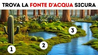 Quanto Resisteresti? Test di Sopravvivenza nella Natura Selvaggia