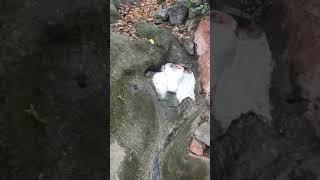 Gaaymukh fountain,  patnadevi forest,  chalisgaon