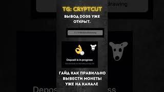 КАК ВЫВЕСТИ DOGS на биржу или кошелек | Полный гайд уже на канале | DOGS Telegram | ТГ: cryptcut