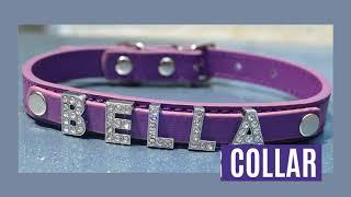 PERSONALIZE YOUR DOGS COLLARS!