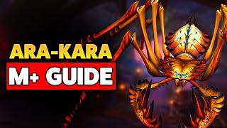 COMPLETE Guide to Ara-Kara in Mythic+ (TWW Season 1)