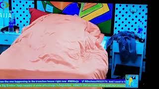 BBNAIJA 2022 | SEASON 7 - LEVEL UP: Adekunle and Allison's moment under the duvet.