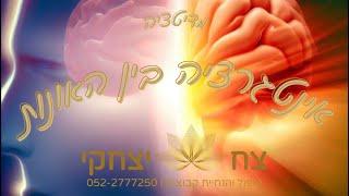 מדיטציה לאינטגרציה בין האונות במוח, הולכה עצבית טיפול, בשיטת המטאיזם מרחב מודעות
