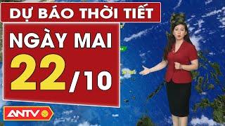 Dự báo thời tiết ngày mai 22/10: Bắc Bộ không khí lạnh tăng cường, Nam Bộ nắng nhẹ | ANTV