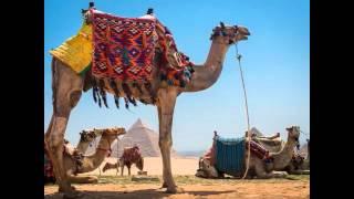 Cairo Tours - Ibis Egypt Tours