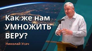 Как же нам умножить веру? Сын Человеческий, придя, найдет ли веру на земле?| Николай Усач