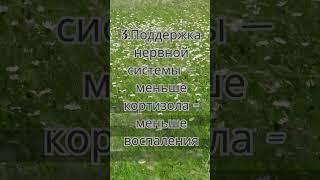 Обрати внимание  #псориаз #псориазлечение #гипнотерапия #психосоматика