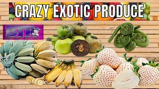 Crazy, Exotic Produce - Chris Fothergill-Brown from Youtube.com/thatsrank on BTR