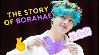 The Story of BORAHAE and its 𝗥𝗶𝗴𝗵𝘁𝘀 𝗖𝗼𝗻𝘁𝗿𝗼𝘃𝗲𝗿𝘀𝗶𝗲𝘀  The meaning, origin...