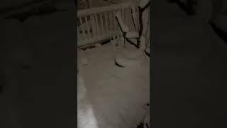 inverno está rigoroso no Japão
