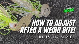 Pro Secrets Exposed! How to Adjust Your Lure When Fish Bite Weird! (Ep. 8)