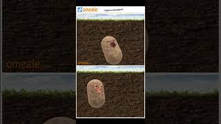 I FOUND A POTATO FRIEND  #funny #memes #meme #zebkii #lmao #shorts #haha #lol #potato