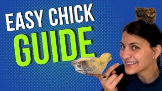 Don’t buy that. Minimalist guide to raising chicks.