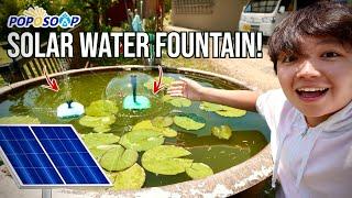 The Best Solar Fountain for the Rice Fish Pond?? Poposoap Solar Water Fountain