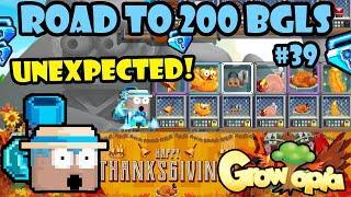 TONS BGLS PROFIT ON THANKSGIVING!! 🪶 OMG! | Road To 200 BGLS #39 | GrowTopia Profit 2024