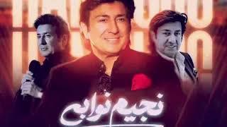 Najim Nawabi Indian Composition  مرا هزار امید است