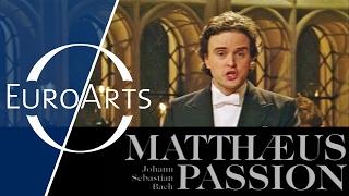 Johann Sebastian Bach - Matthäus-Passion (Cambridge, 1994)