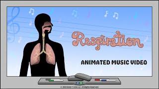 Respiratory System |  Every Breath You Take | Animated Music Video |