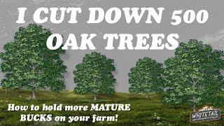 I CUT DOWN 500 OAKS | Logging DISASTER!