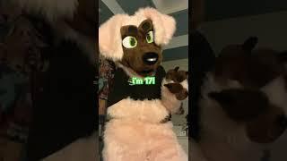 FAQ!!!! XP #fursuit #furries #therian #antizoo #furry #scene