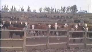 1981 Kansas Economy Part 3 of 5