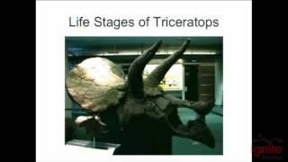 Jeremy Bingham - Your Moral Panic Over Triceratops is Wrong