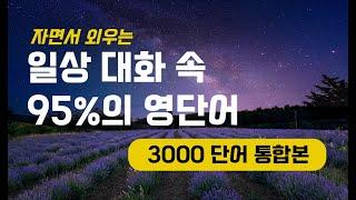 자면서 영어듣기｜직접 녹음한(AI) 일상 대화의 95% 를 차지하는 영단어 3000단어 발음 연습 (통합본)｜영단어 ASMR