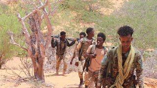 Ciidankii Beesha Xawaadle ee Furimaha Kasoo baxay oo Hiiraan u dhaqaaqay iyo DF oo laga diiday......