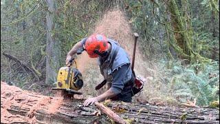 Legendary old Power Saw, puts New chainsaws to shame