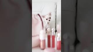 Puppy Barley picks my makeup from Rare Beauty 